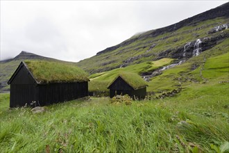 Houses with grass roofs