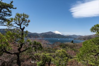 Ashi Lake