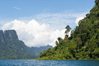 Forested karst limestone mountains with jungle vegetation rising from the water