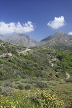 Valley of Megalopotamos