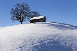 An Appenzell farmhouse on a snow-covered hill in winter