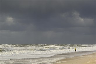 Person on the sandy beach looking at the waves of the stormy North Sea
