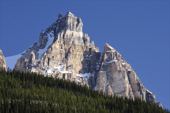 Cathedral Crags viewed from the Kicking Horse Pass Road