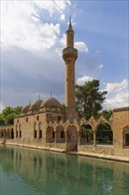 Pond of Abraham with Rizvaniye Mosque