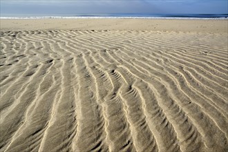 Sand ripple patterns on the beach