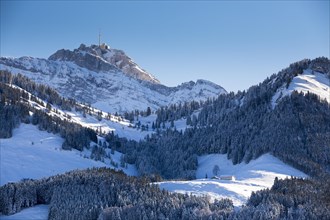 The Ober-Guggeien alp with the summit of Mt Santis