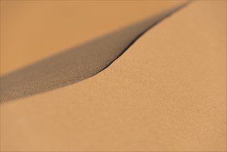 Ridge of a dune