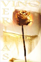 Words 'vino veritas