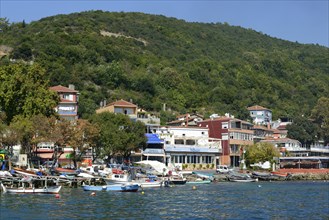 View of the village of Rumeli Kavagi from the Bosphorus