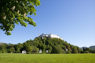 Hohensalzburg Castle