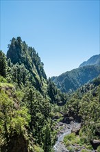 Ravine with creek in the Caldera de Taburiente National Park