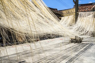 Thin noodles during drying