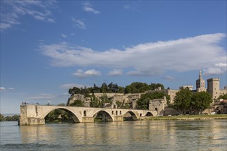 The historic bridge of Avignon with the papal palace in the background