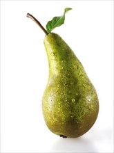 Conference pear (Pyrus communis)