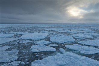 Ice floes