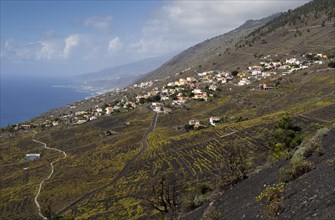 The village of Los Quemados built on lava soil
