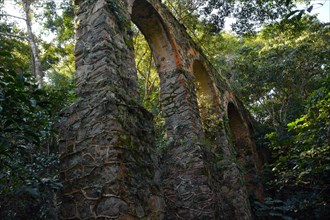 Aqueduct in the rainforest near Abrao