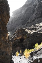 Cliff in the Masca Gorge