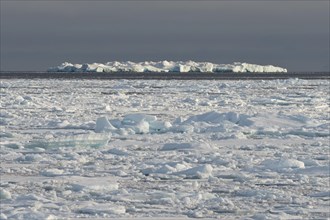 Iceberg