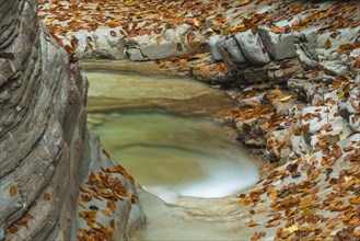 Autumn in the Tauglschlucht gorge
