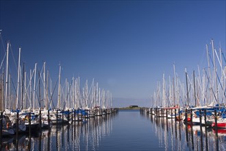 Sailboats in the marina