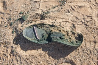 Sole of an old shoe lying in the sand