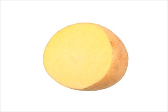 Potato