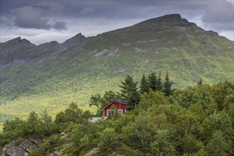 Holiday cottage with a small forest near Eidsfjord