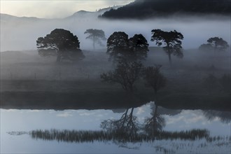 Early morning fog at Loch Arkaig