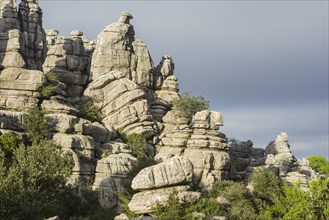 Bizarre limestone rock formations