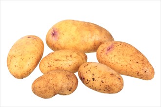 Potatoes