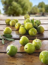 Greengage plums