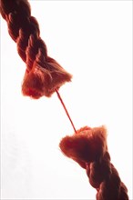 Damaged rope is held together by only one thread