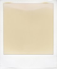 Blank polaroid frame