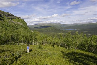 Hiker ascending via a narrow path from the forest border into the Fjell