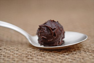 Chocolate truffle on a silver spoon