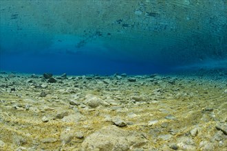 Underwater view