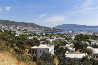 Townscape with Bodrum Castle