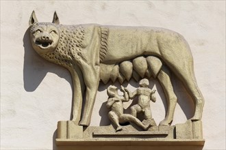Roman she-wolf suckling Romulus and Remus