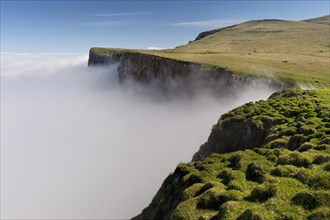 Clouds on the cliffs