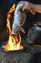 Local woman holding Cuy