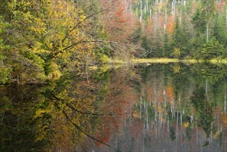 Drift pond