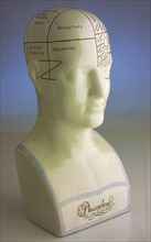 Ceramic bust with English labeling of brain activity