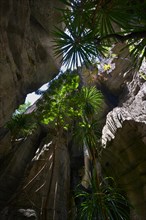 Impressive limestone formations