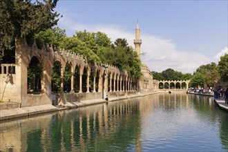 Pond of Abraham with Rizvaniye Mosque