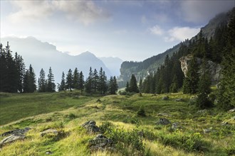 Countryside with mountains and meadows in the Glarus Alps
