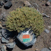 Marker on a stone for hikers