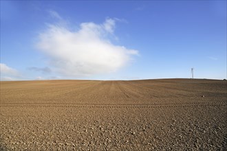 Large field ready for sowing