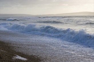 Winter sea coast