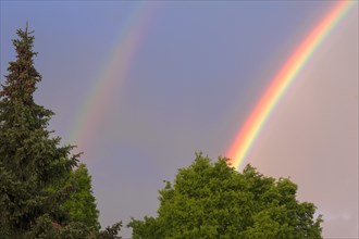 Double rainbow